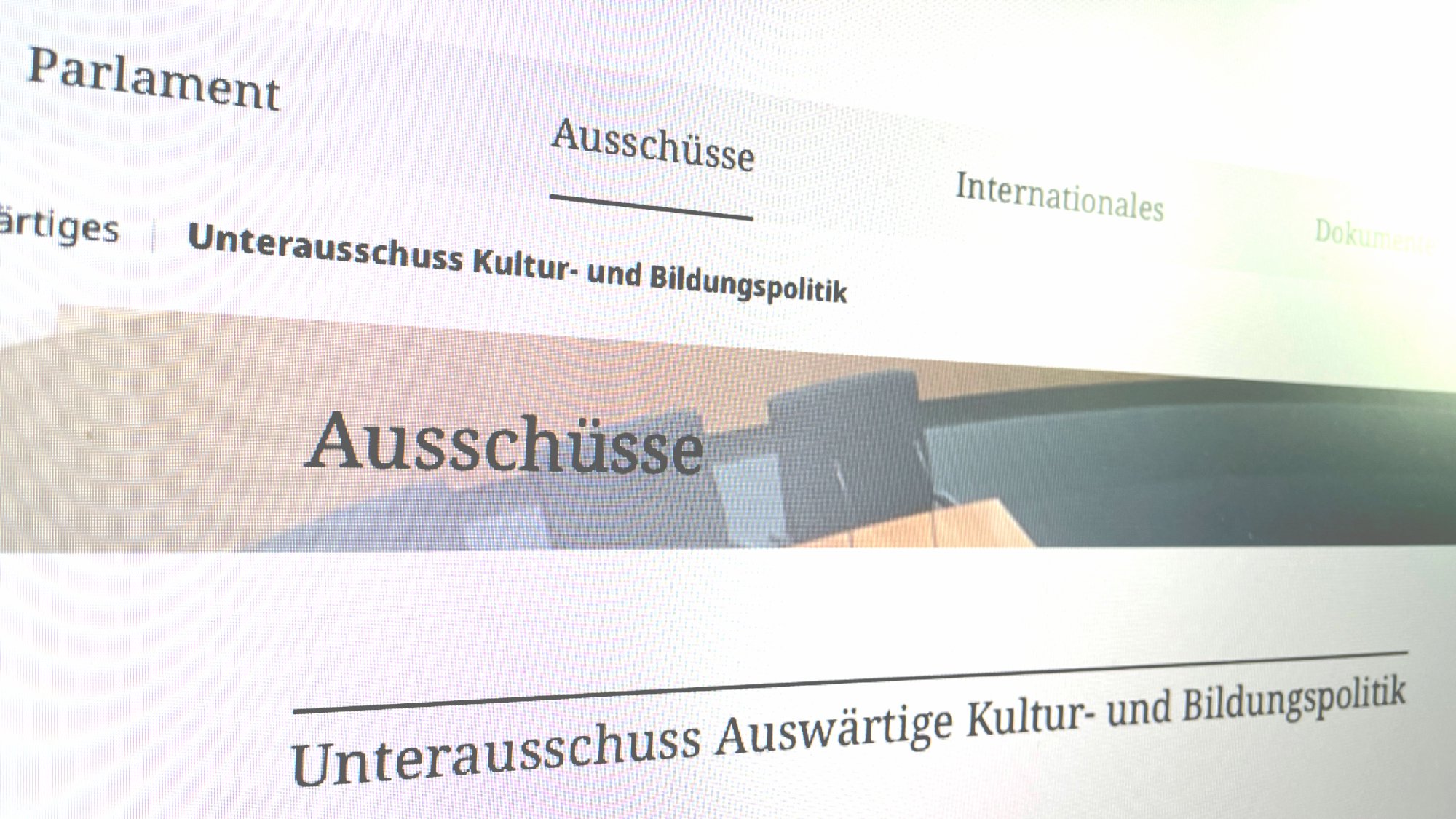 WDA im Unterausschuss Auswärtige Kultur- und Bildungspolitik: Existenzsicherung durch auskömmlichen Schulfonds Priorität